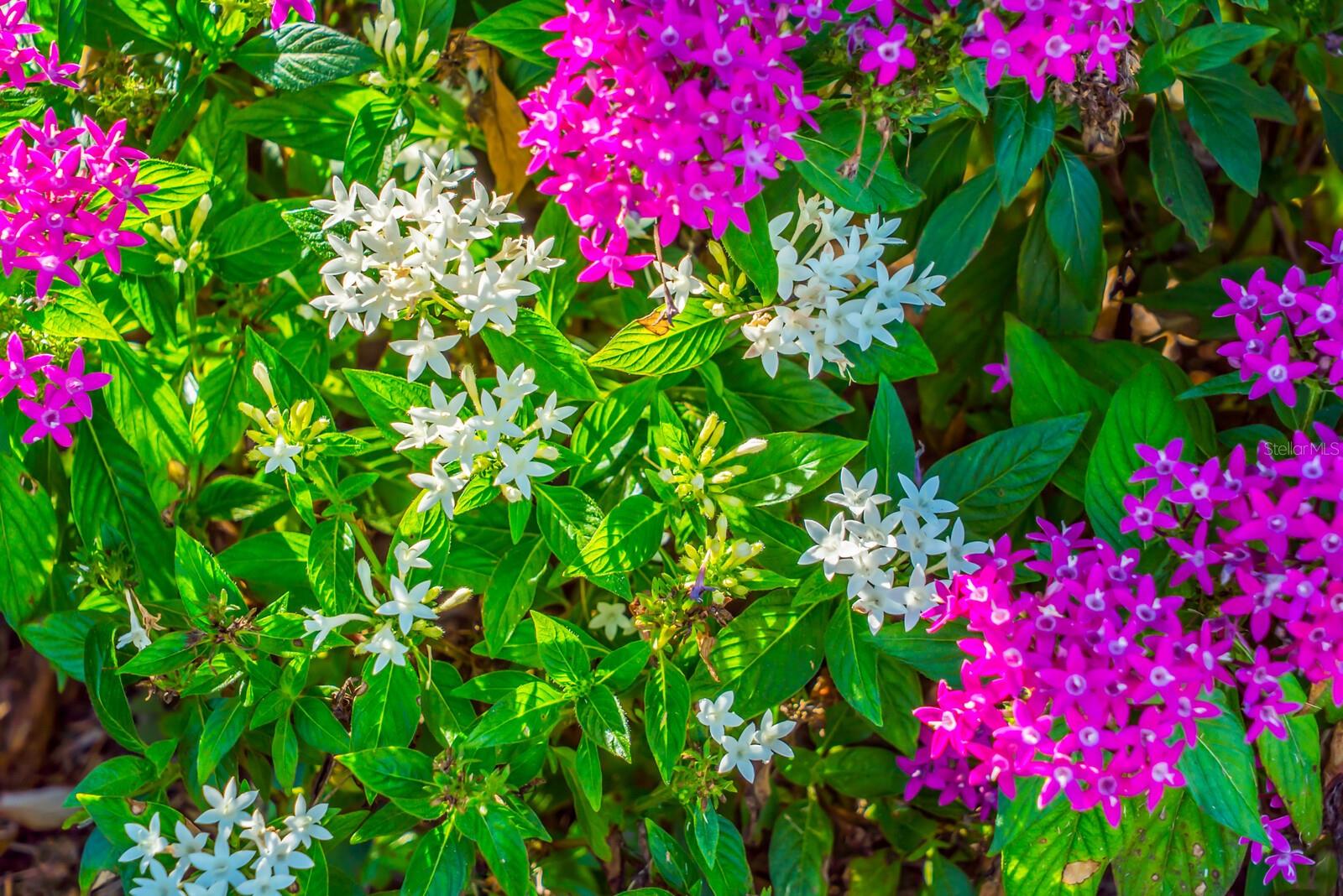 1123 RIVERSCAPE ST #D, BRADENTON, FL, 34208