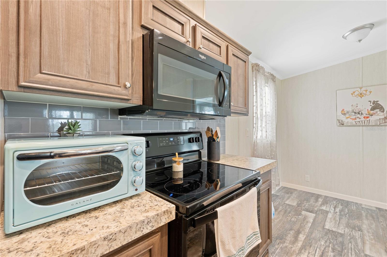 705 SR 50, WEBSTER, FL, 33597