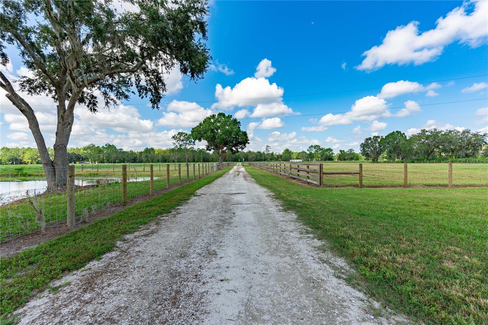 705 SR 50, WEBSTER, FL, 33597
