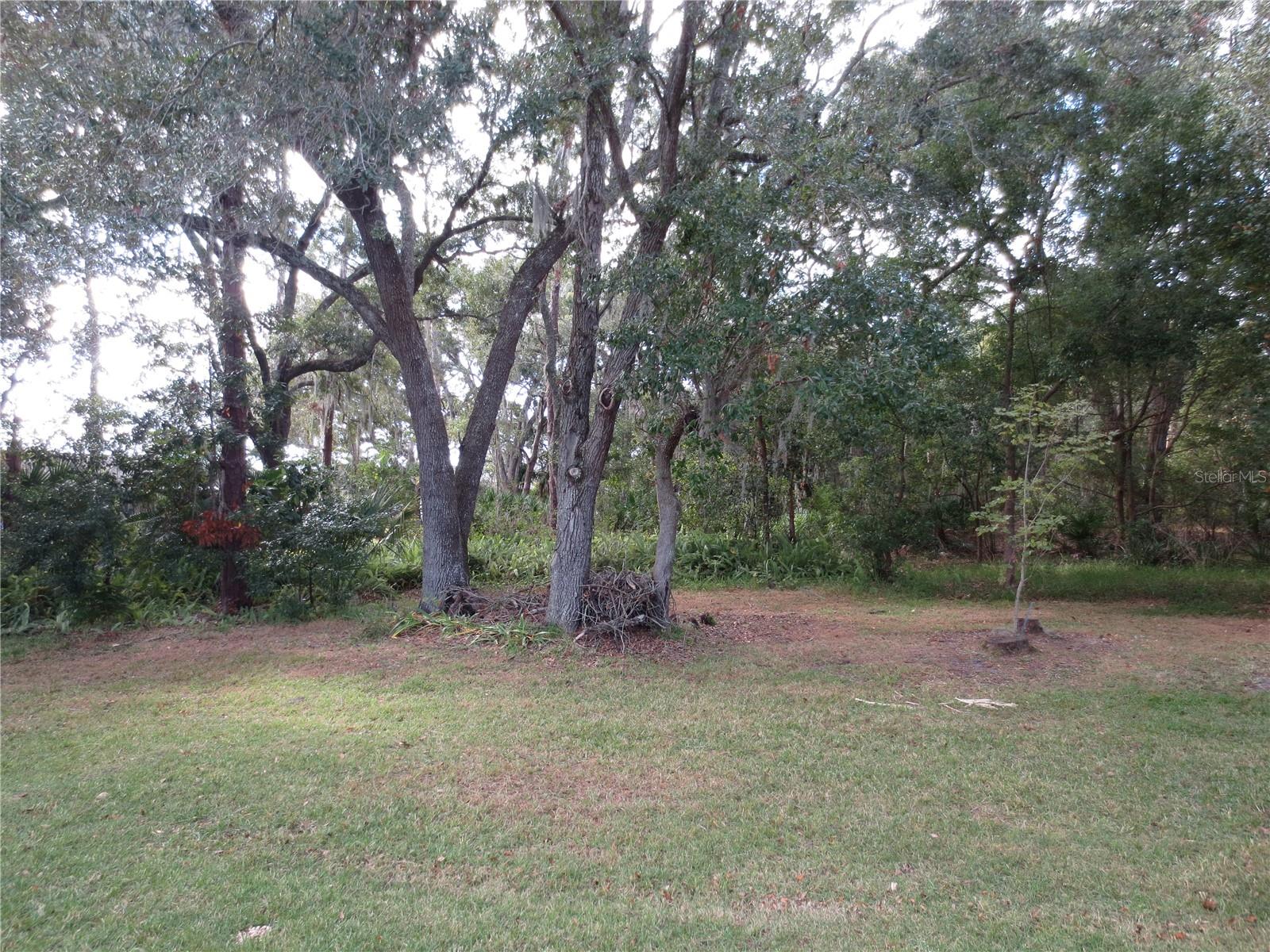 11540 SANDY HILL DR, ORLANDO, FL, 32821
