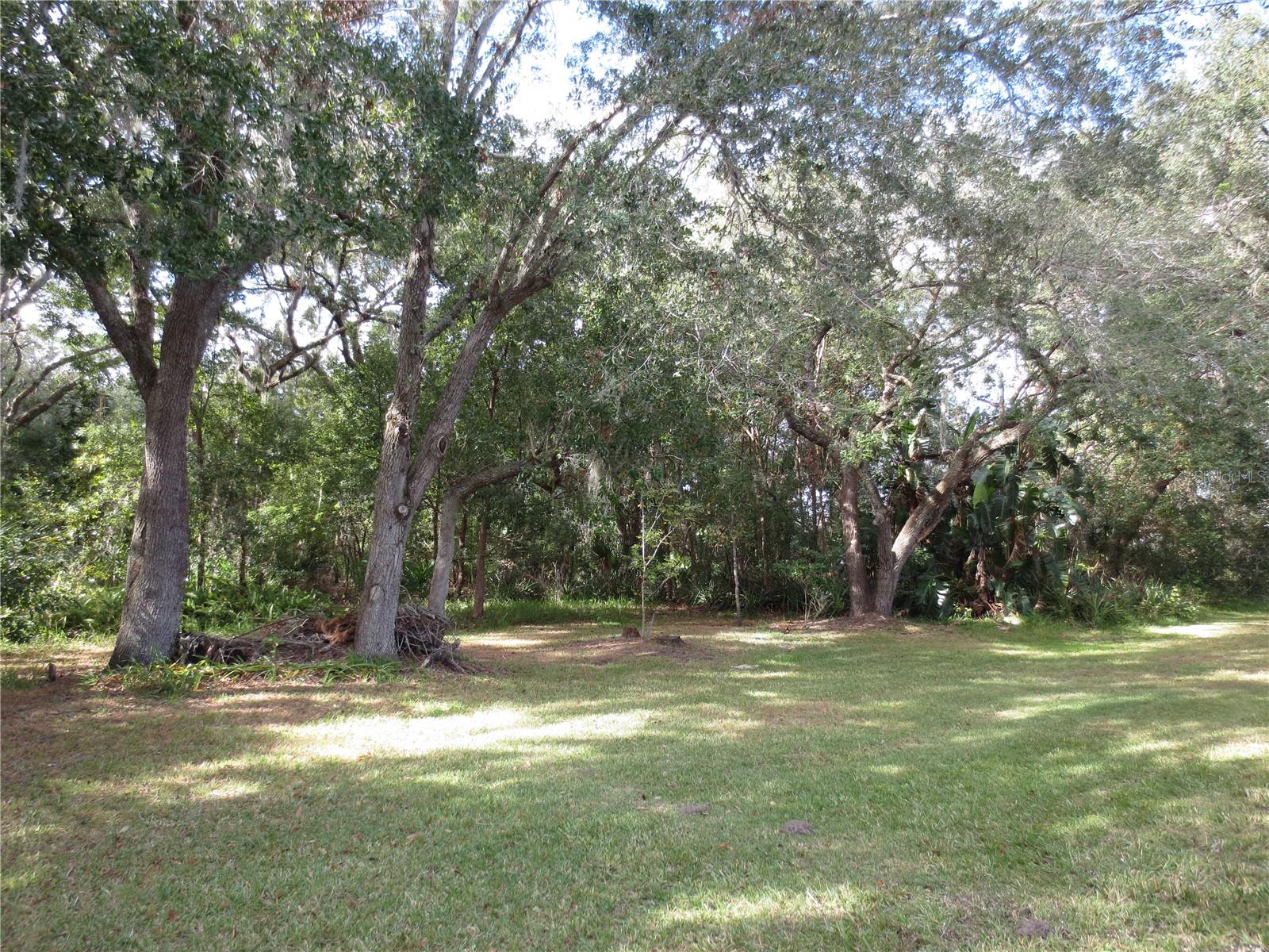 11540 SANDY HILL DR, ORLANDO, FL, 32821