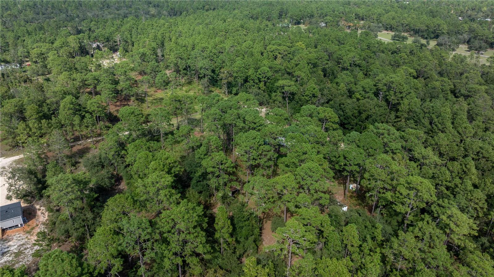 6514 W MABLE LN, DUNNELLON, FL, 34433