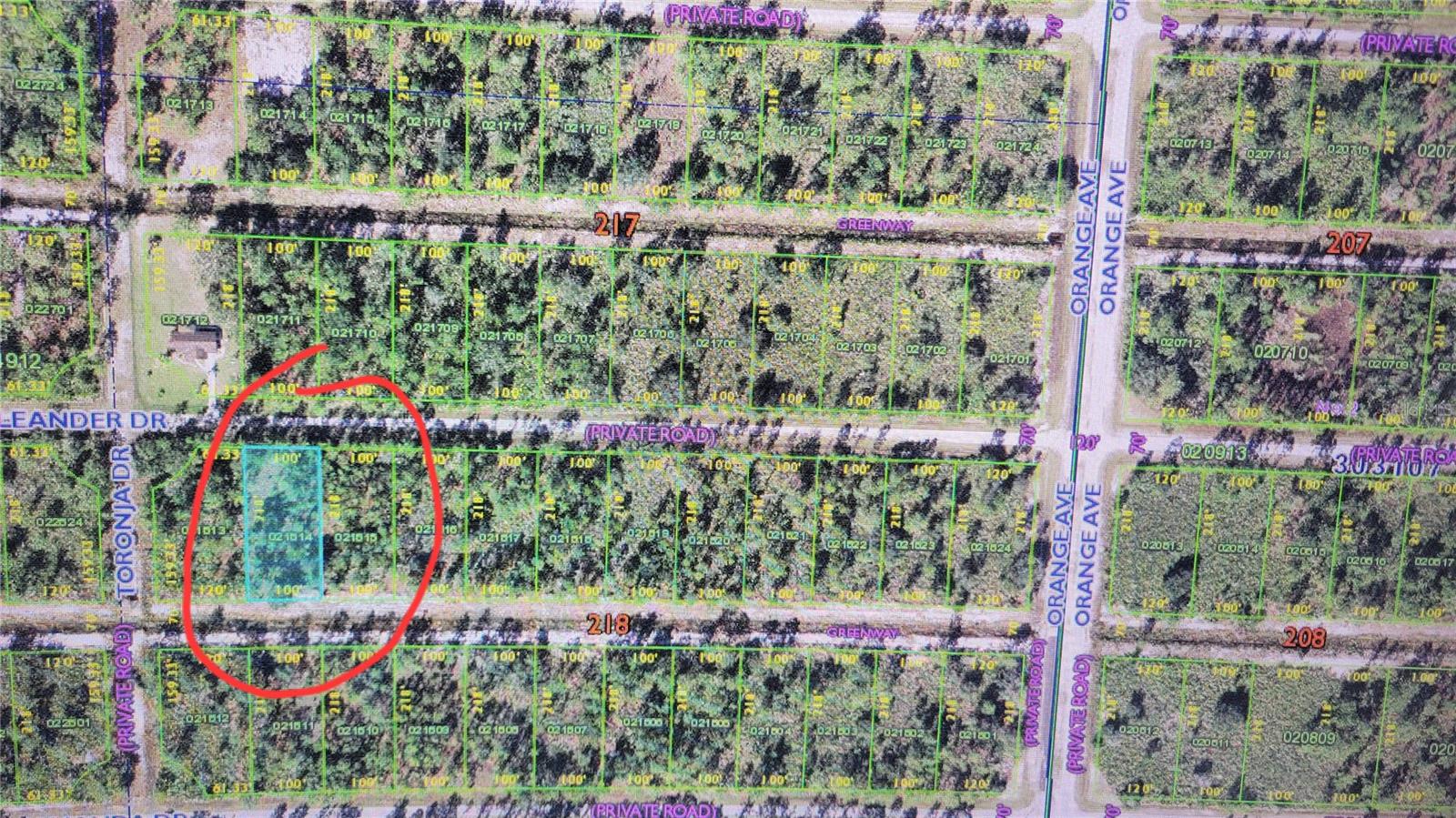 OLEANDER DR, INDIAN LAKE ESTATES, FL, 33855
