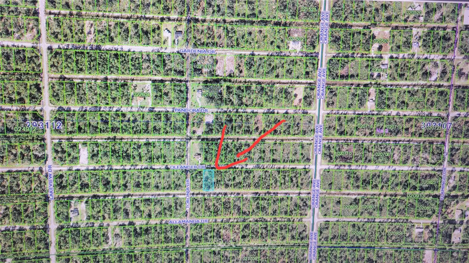 OLEANDER DR, INDIAN LAKE ESTATES, FL, 33855