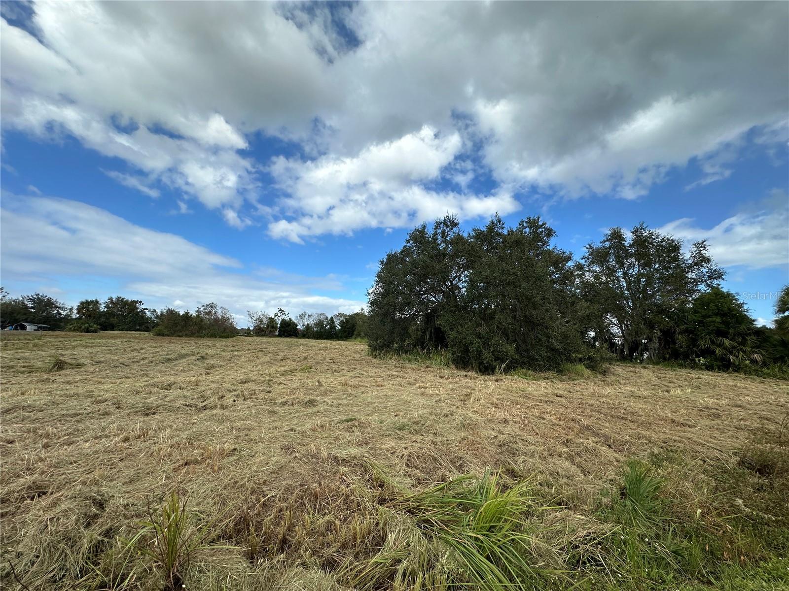 3204 CASTEEN RD, LEESBURG, FL, 34748