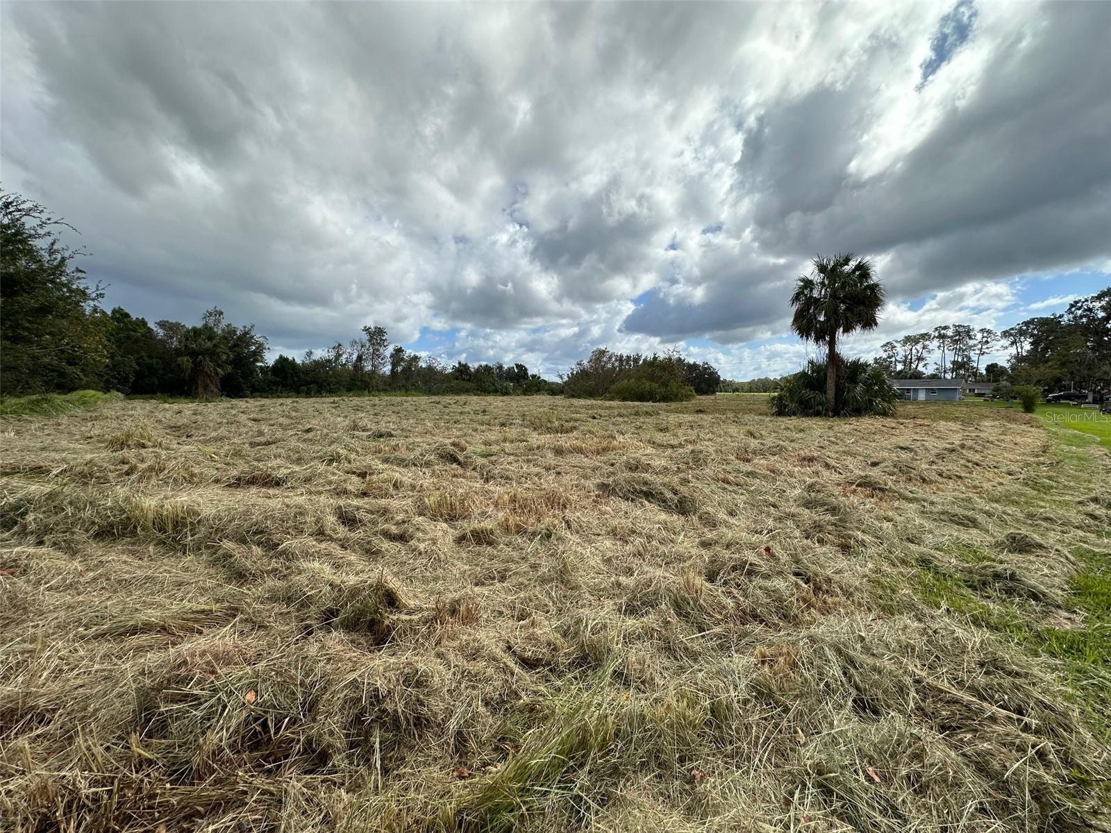 3204 CASTEEN RD, LEESBURG, FL, 34748