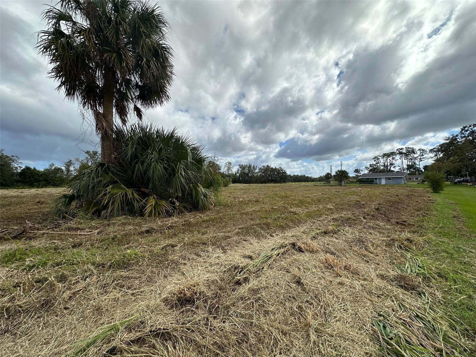 3204 CASTEEN RD, LEESBURG, FL, 34748