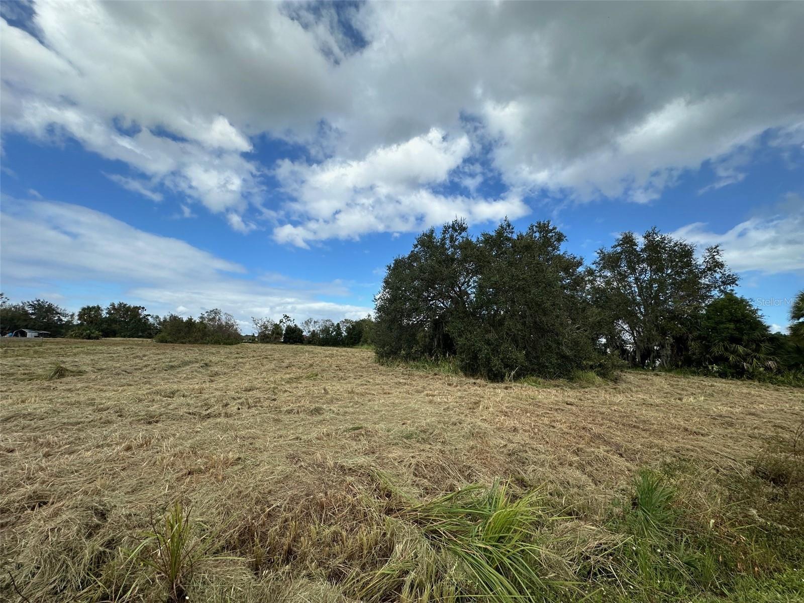 3204 CASTEEN RD, LEESBURG, FL, 34748