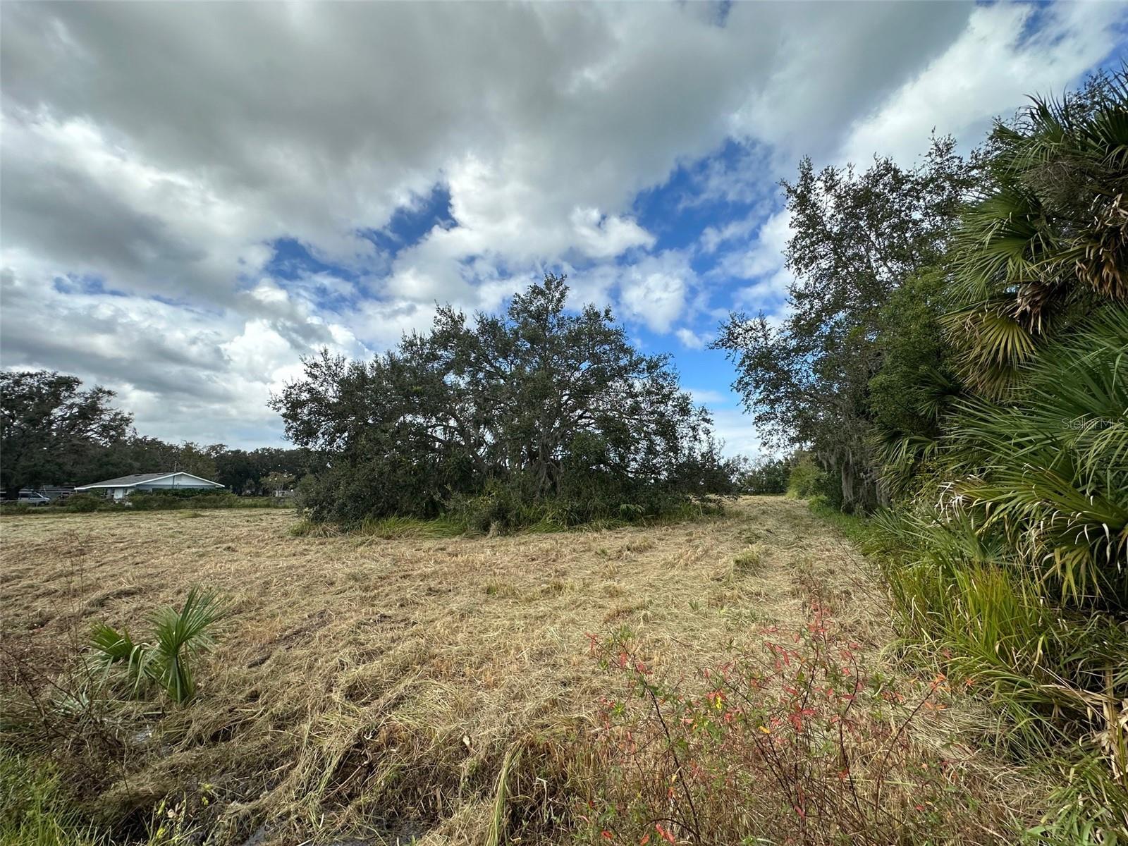 3204 CASTEEN RD, LEESBURG, FL, 34748