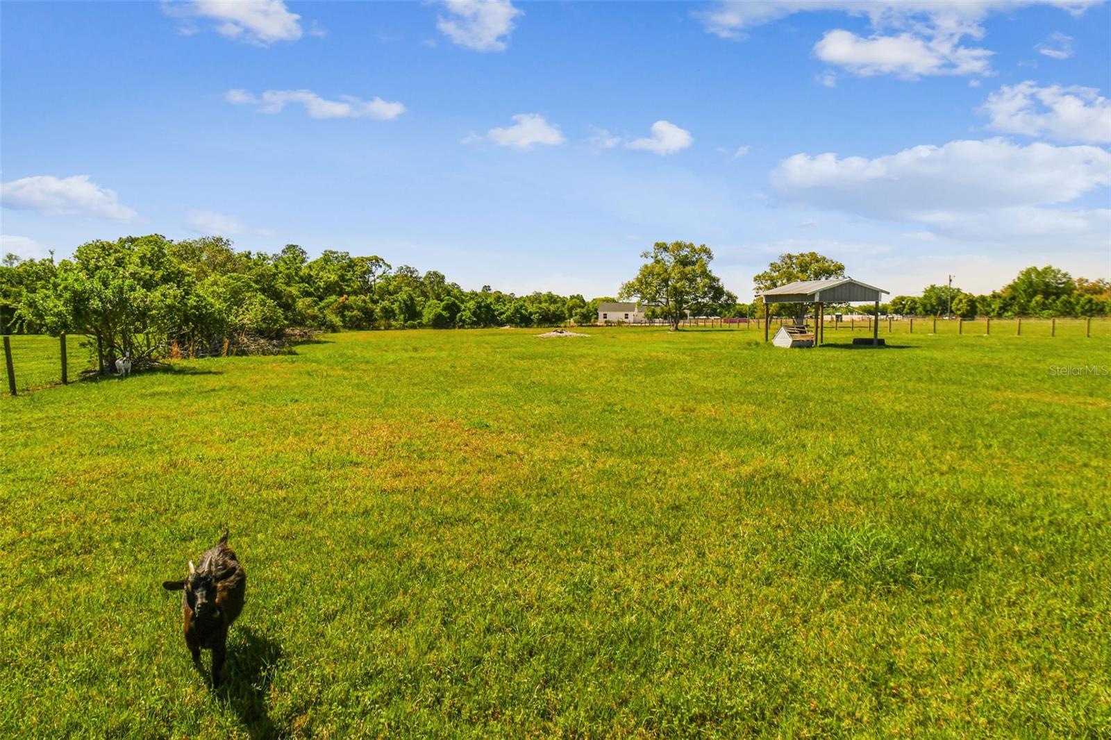 7627 ARTIFACT DR, ZEPHYRHILLS, FL, 33541