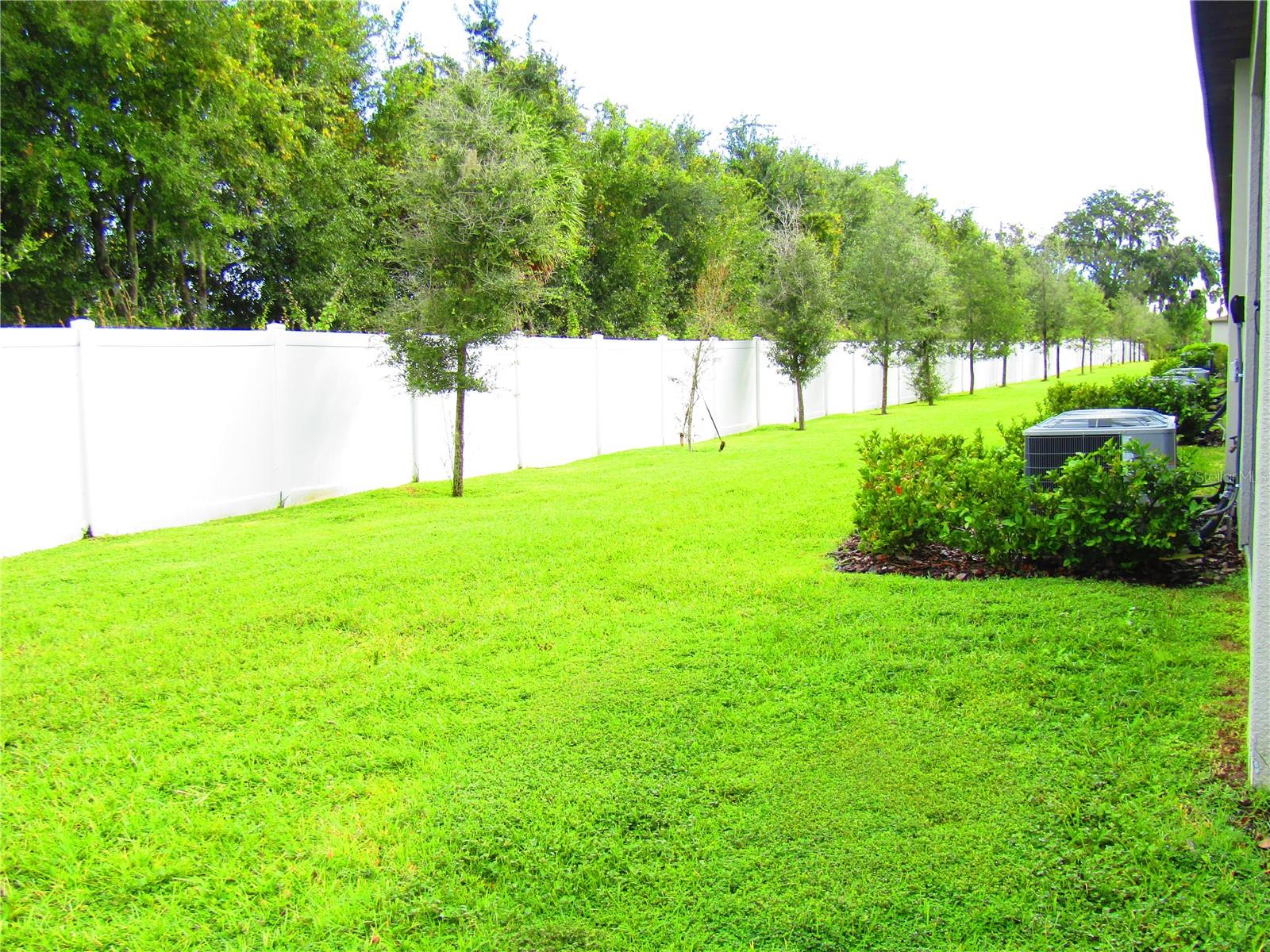 10438 SHADY PRESERVE DR, RIVERVIEW, FL, 33578