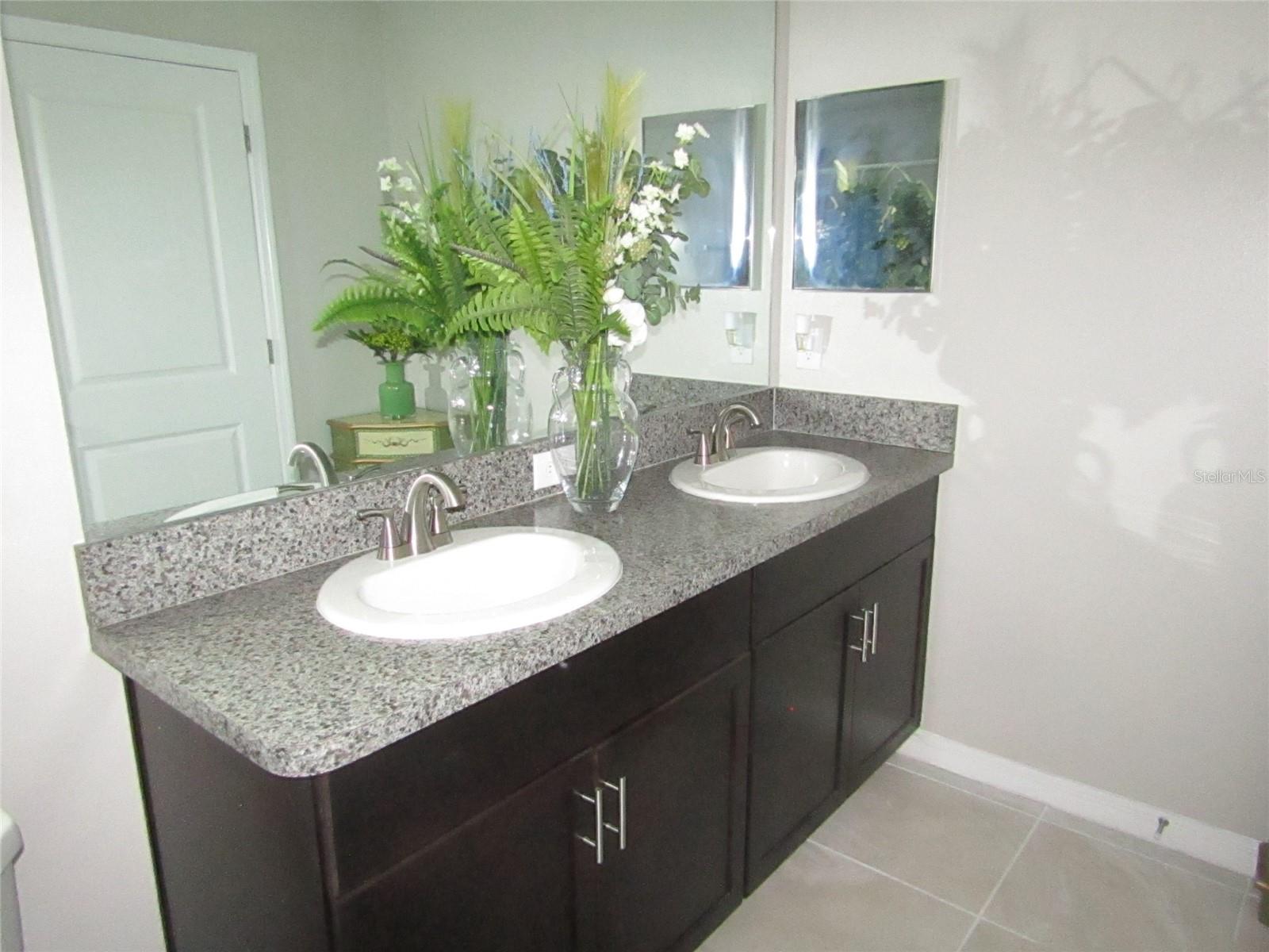 10438 SHADY PRESERVE DR, RIVERVIEW, FL, 33578
