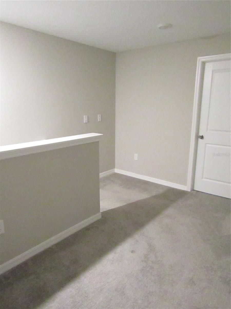10438 SHADY PRESERVE DR, RIVERVIEW, FL, 33578