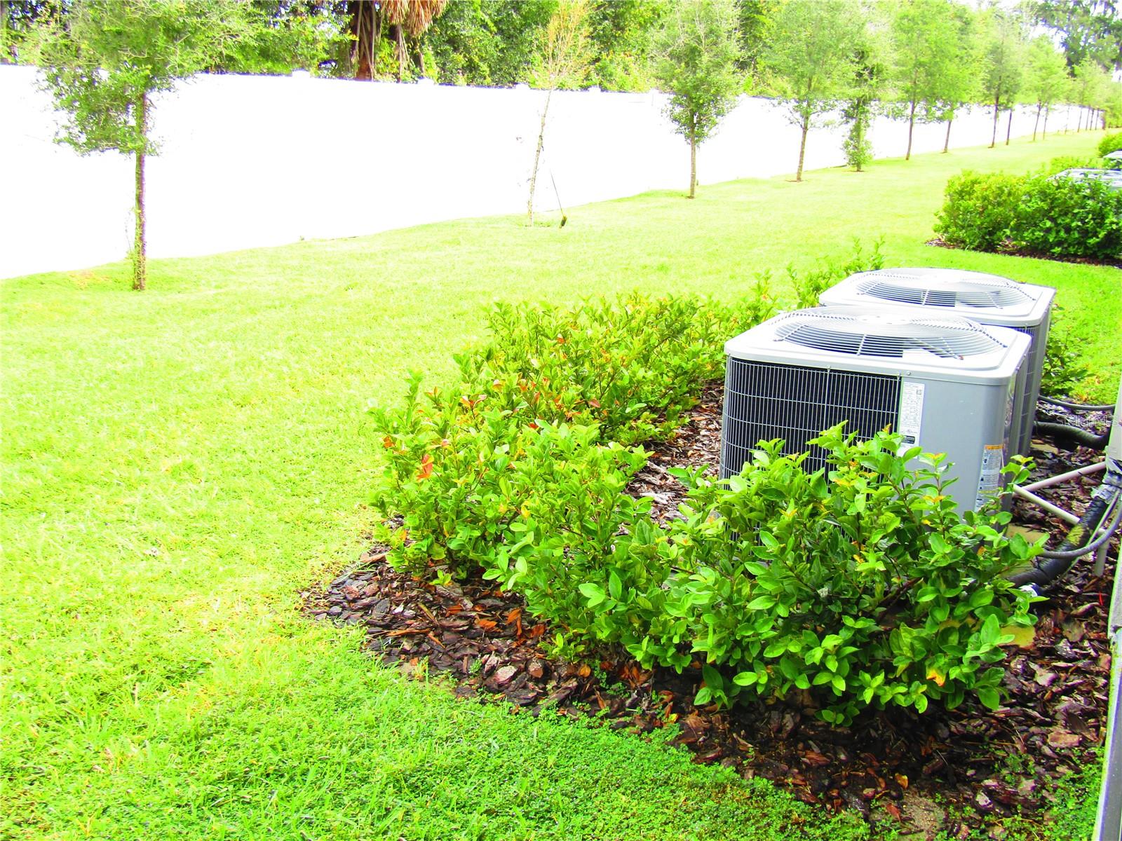 10438 SHADY PRESERVE DR, RIVERVIEW, FL, 33578
