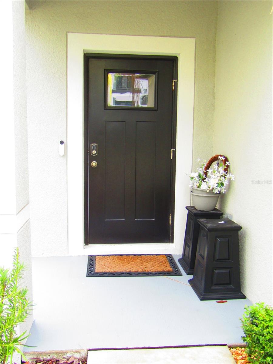 10438 SHADY PRESERVE DR, RIVERVIEW, FL, 33578