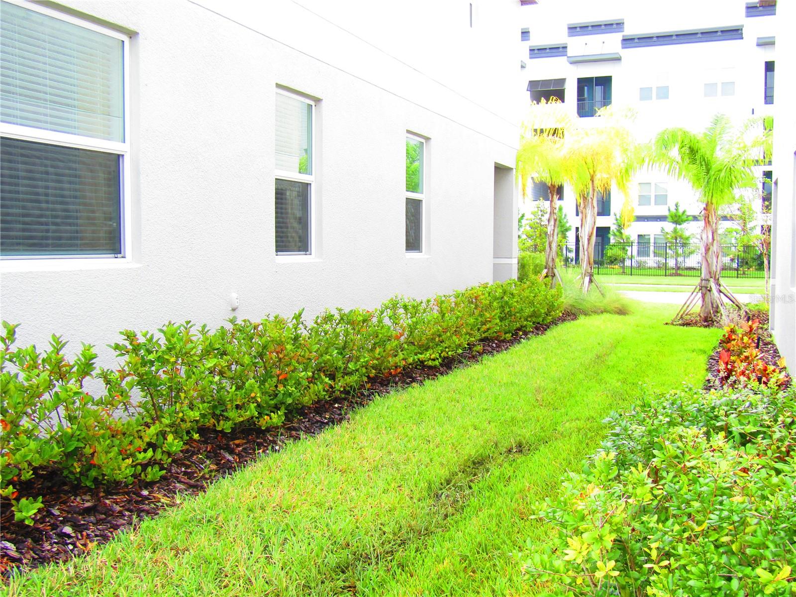 10438 SHADY PRESERVE DR, RIVERVIEW, FL, 33578