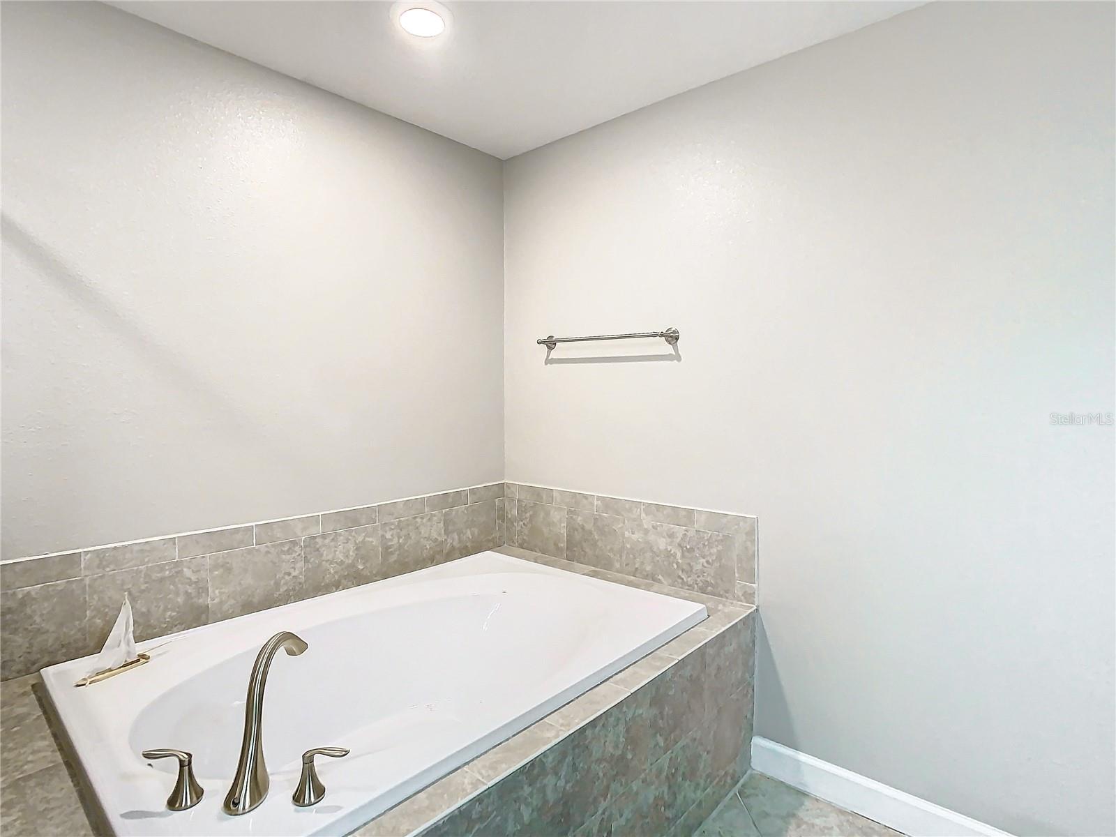 28442 TRANQUIL LAKE CIR, WESLEY CHAPEL, FL, 33543