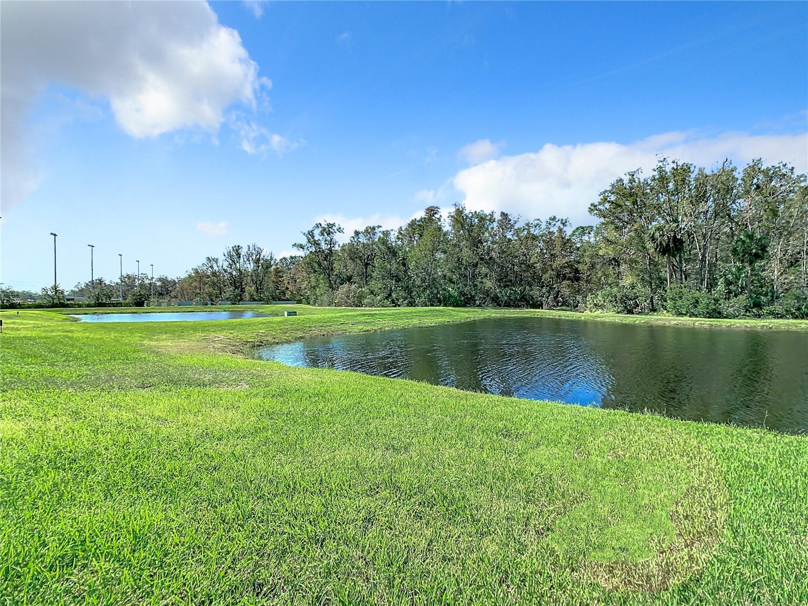 28442 TRANQUIL LAKE CIR, WESLEY CHAPEL, FL, 33543