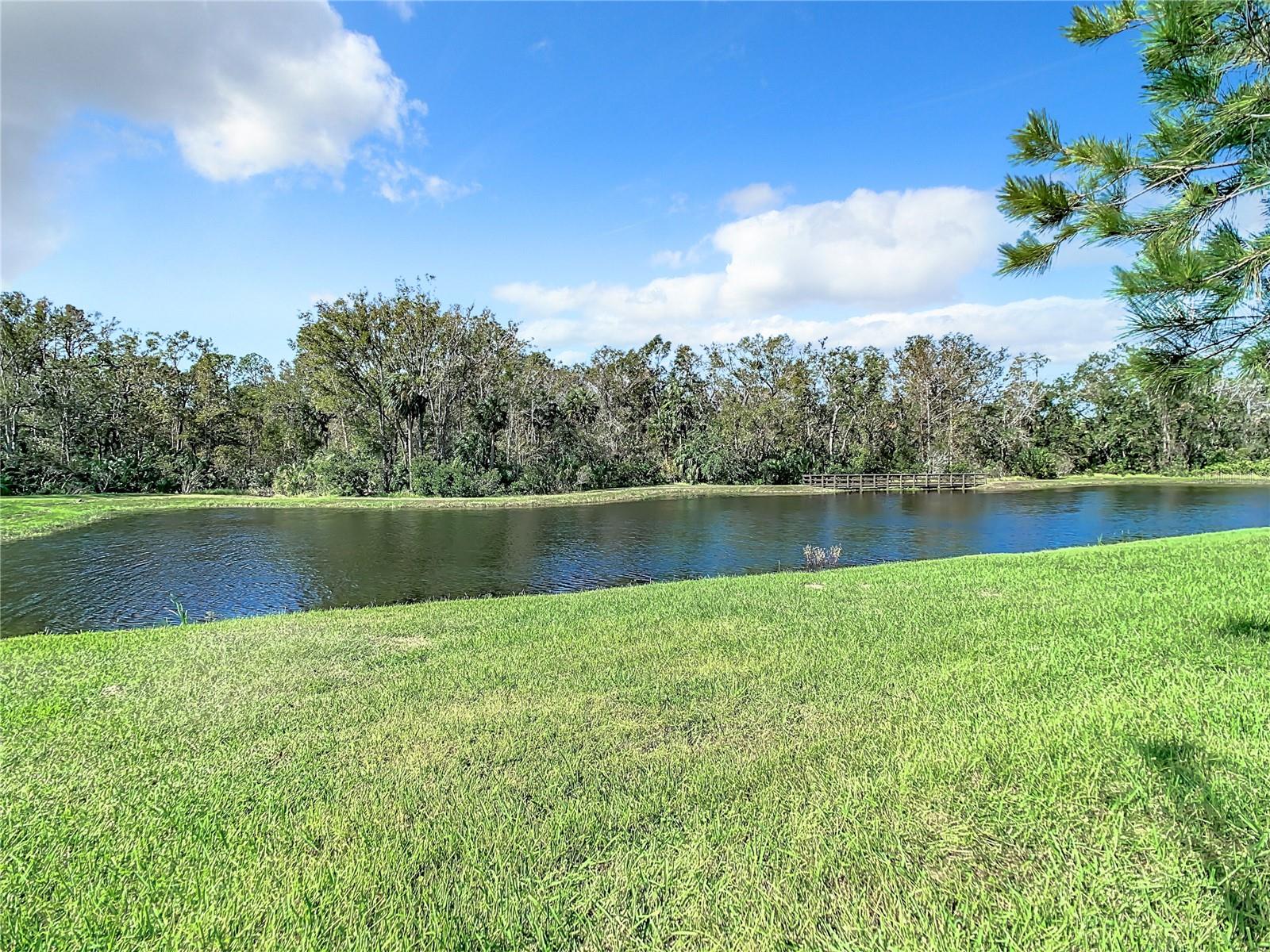 28442 TRANQUIL LAKE CIR, WESLEY CHAPEL, FL, 33543