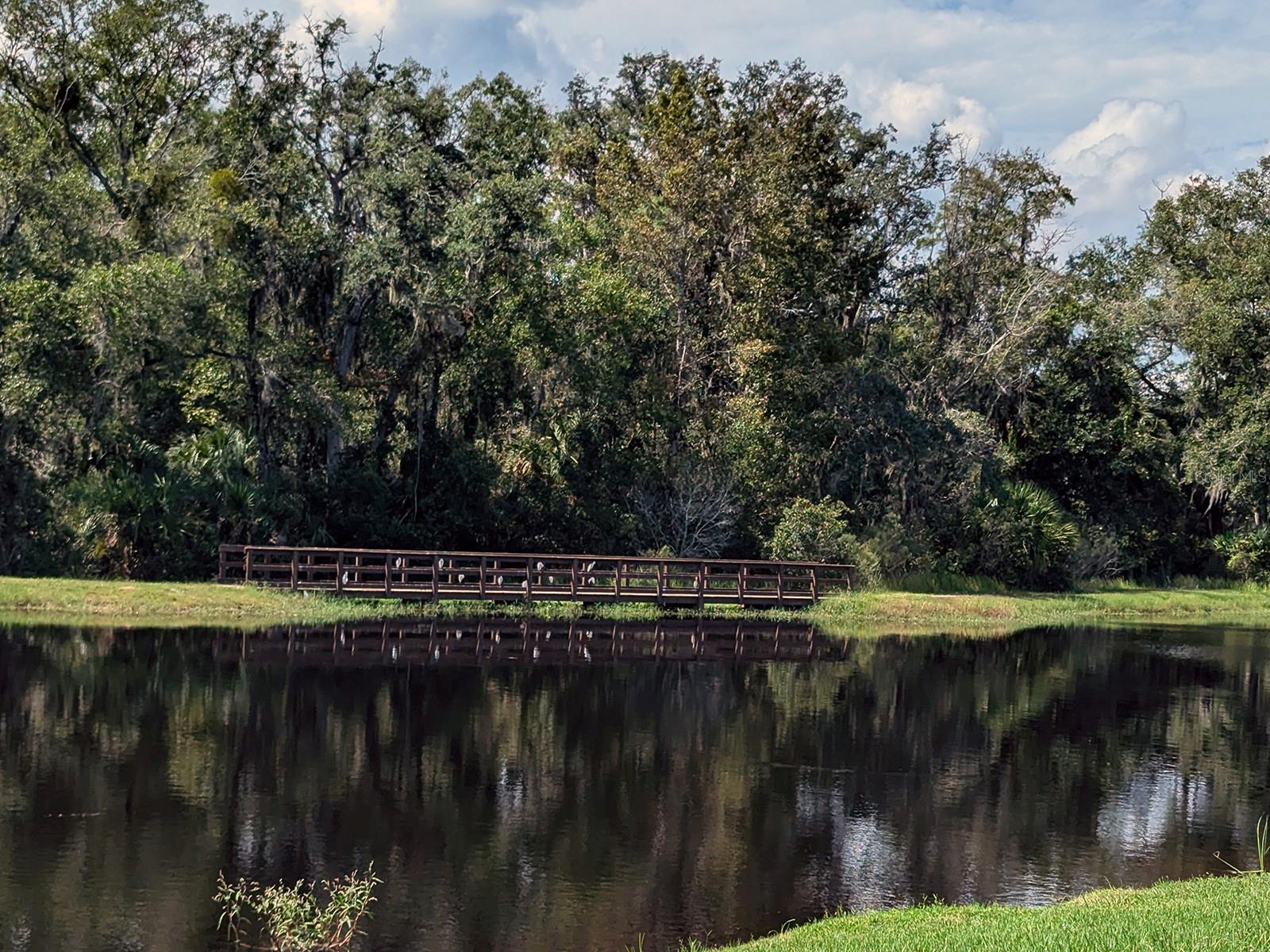 28442 TRANQUIL LAKE CIR, WESLEY CHAPEL, FL, 33543