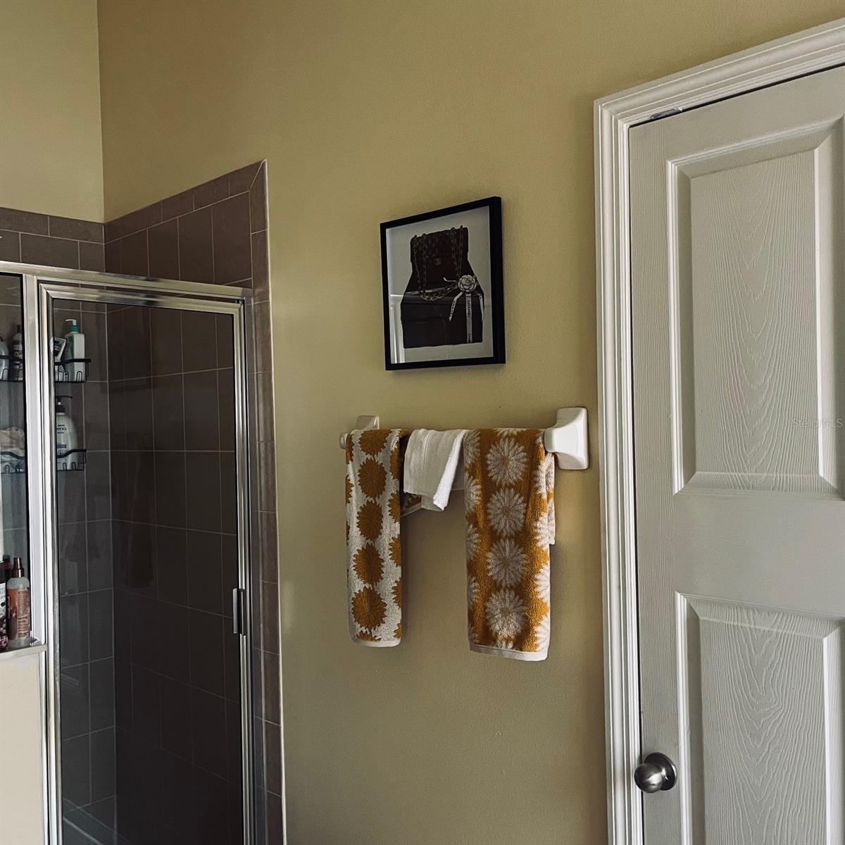 3164 RIACHUELO LN, KISSIMMEE, FL, 34744