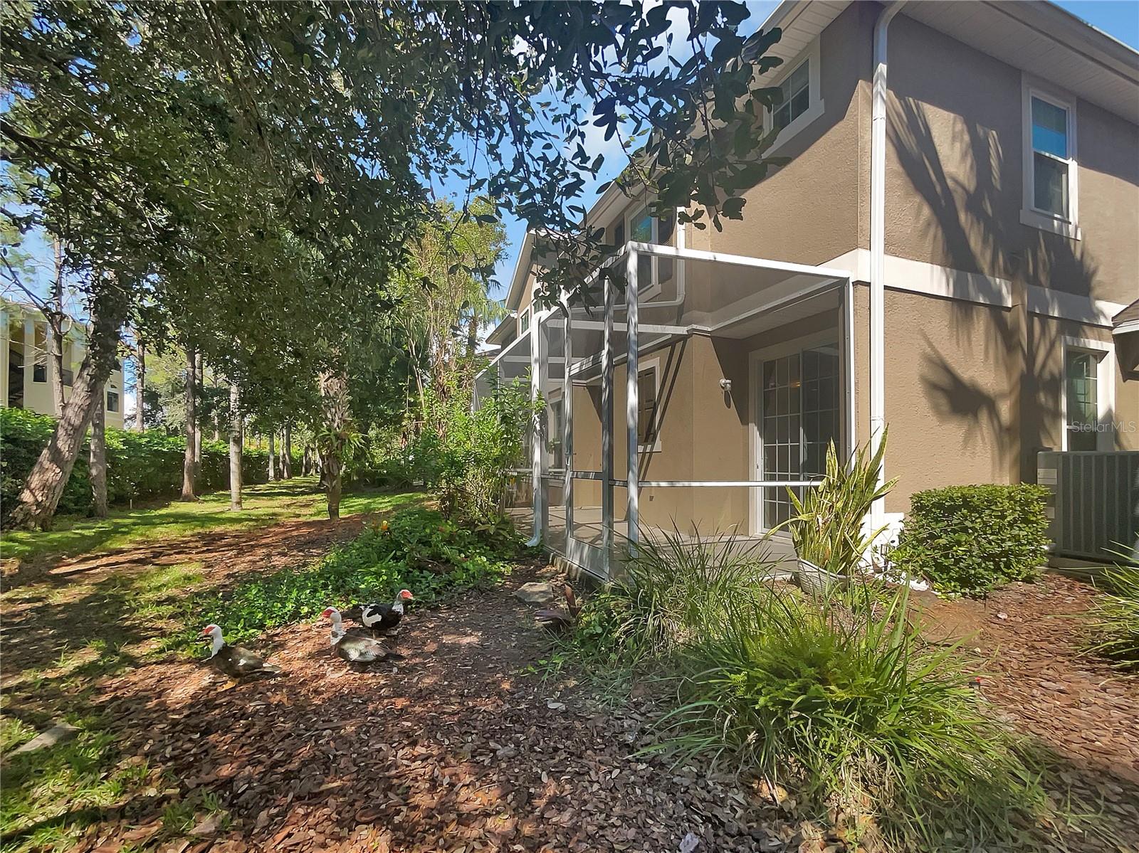7001 INTERBAY BLVD #210, TAMPA, FL, 33616