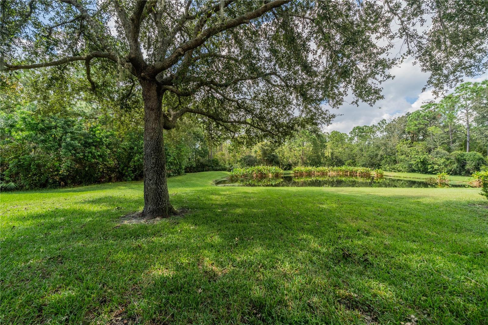 14604 CORKWOOD DR, TAMPA, FL, 33626