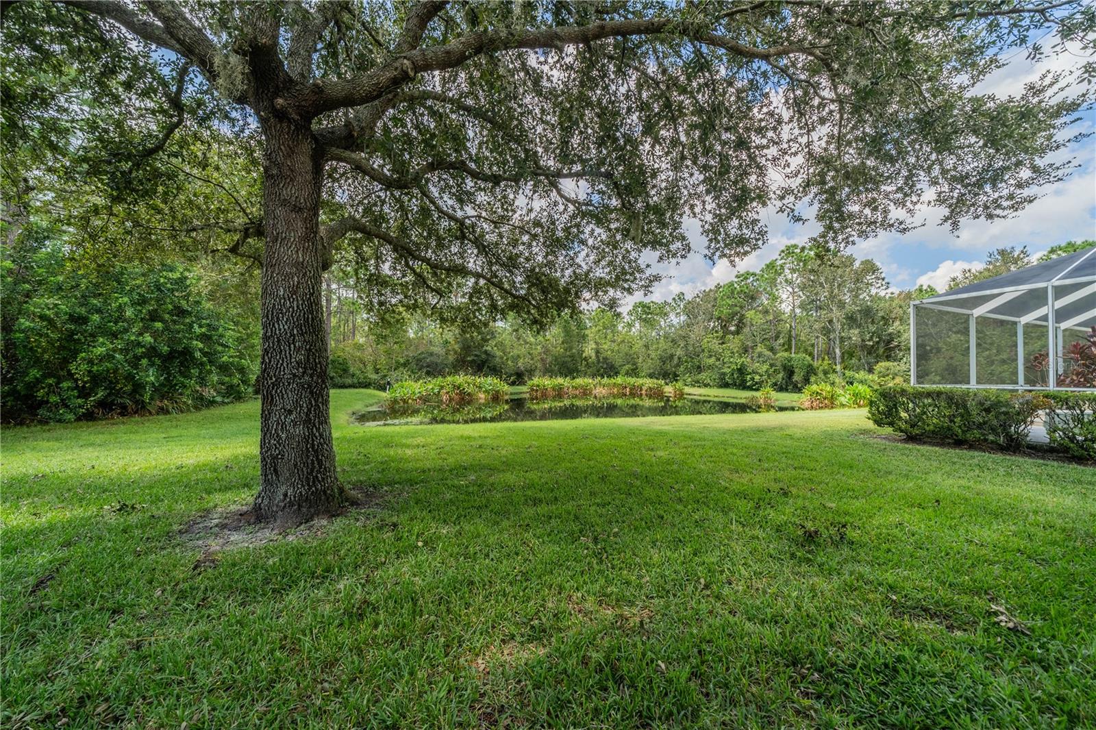 14604 CORKWOOD DR, TAMPA, FL, 33626