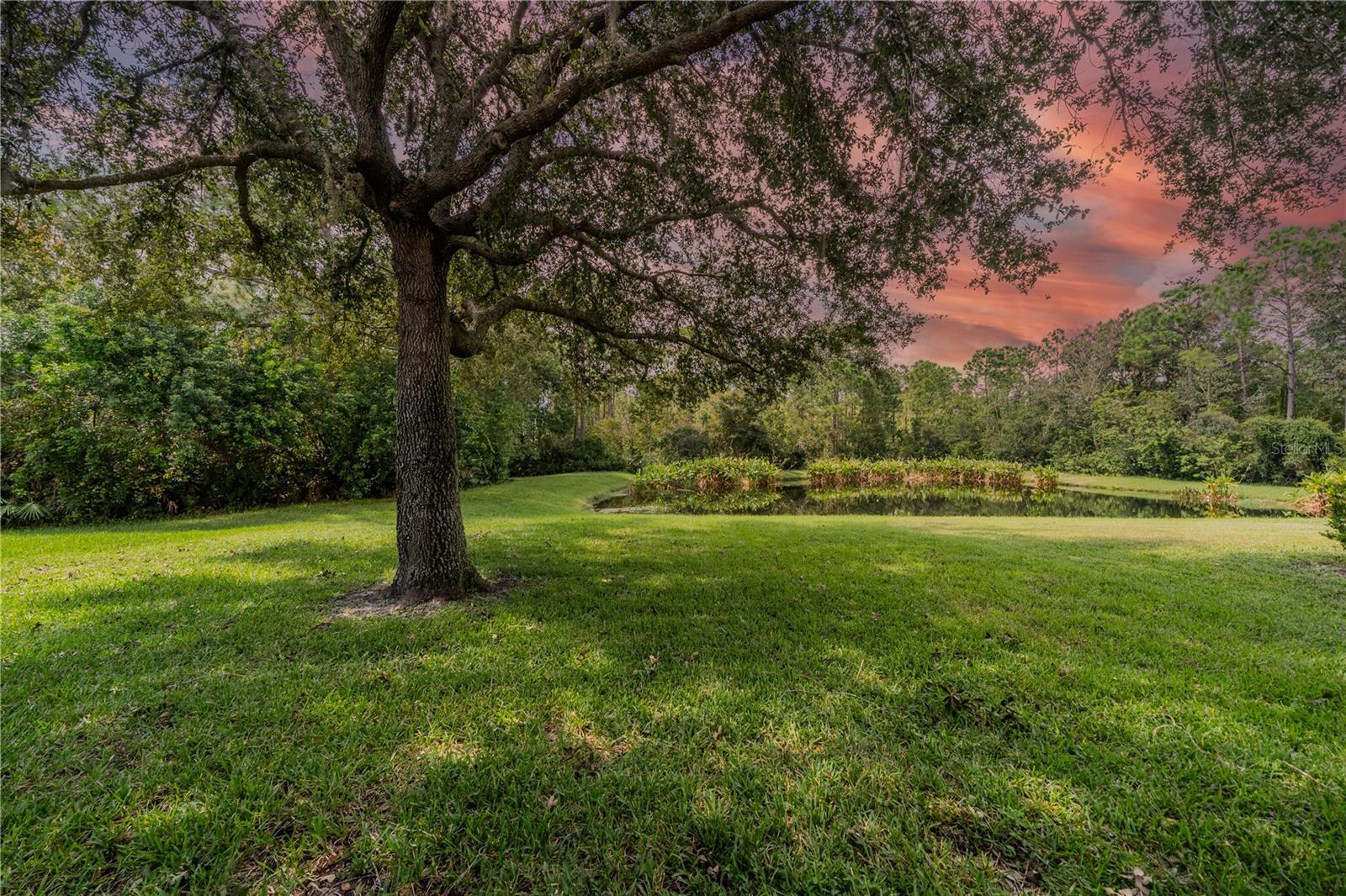 14604 CORKWOOD DR, TAMPA, FL, 33626