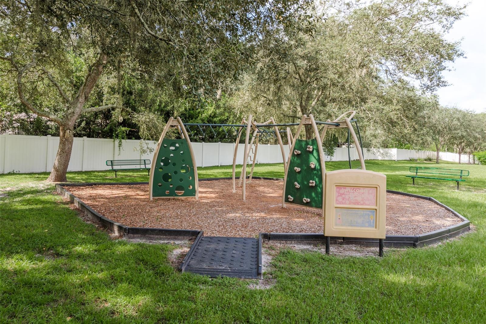 2007 ASHLEY LAKES DR, ODESSA, FL, 33556