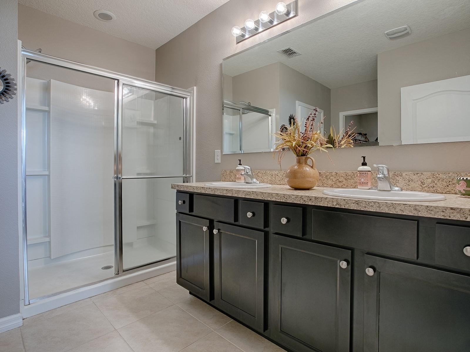 10548 BRONZE LEAF CT, LEESBURG, FL, 34788