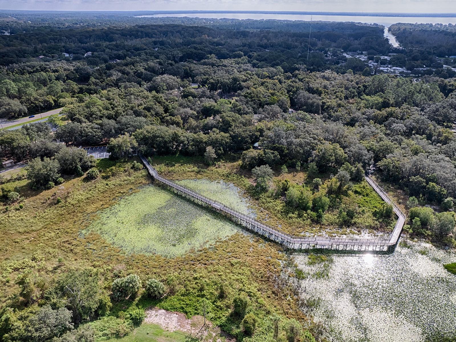 10548 BRONZE LEAF CT, LEESBURG, FL, 34788