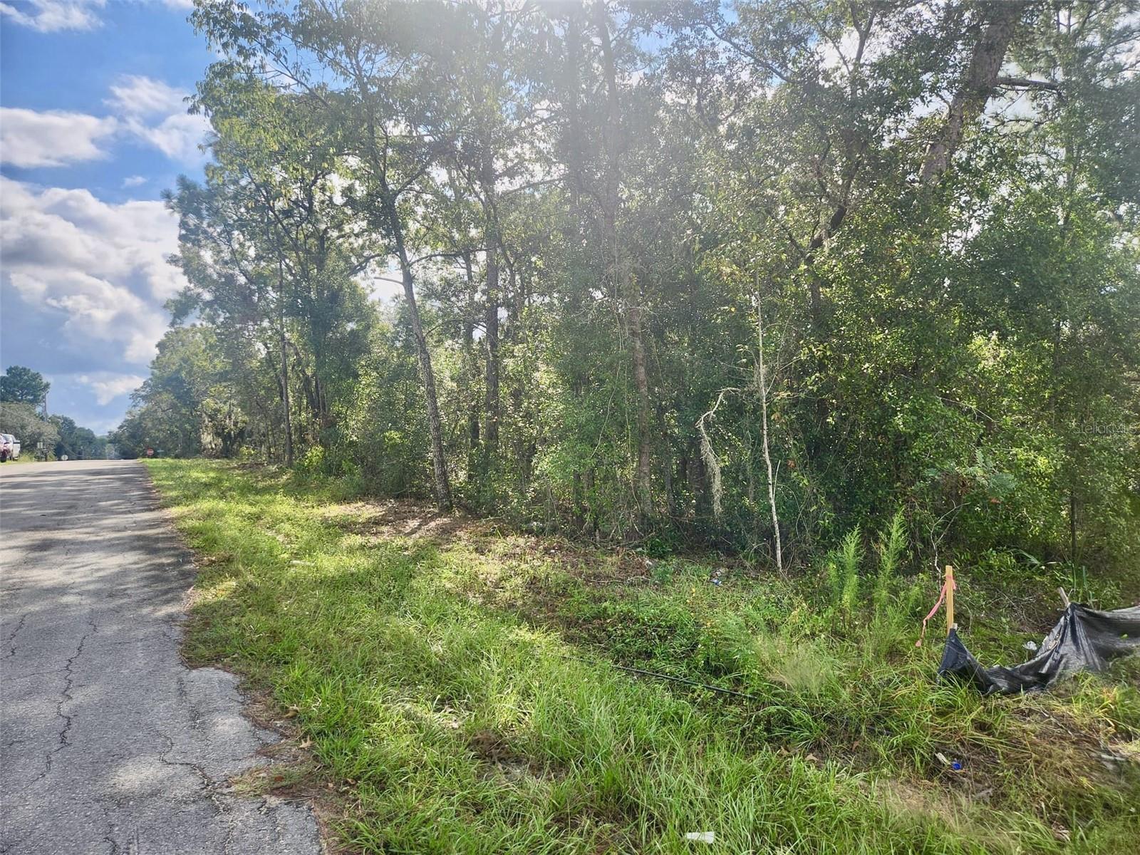 3100 E ODIER ST, INVERNESS, FL, 34453