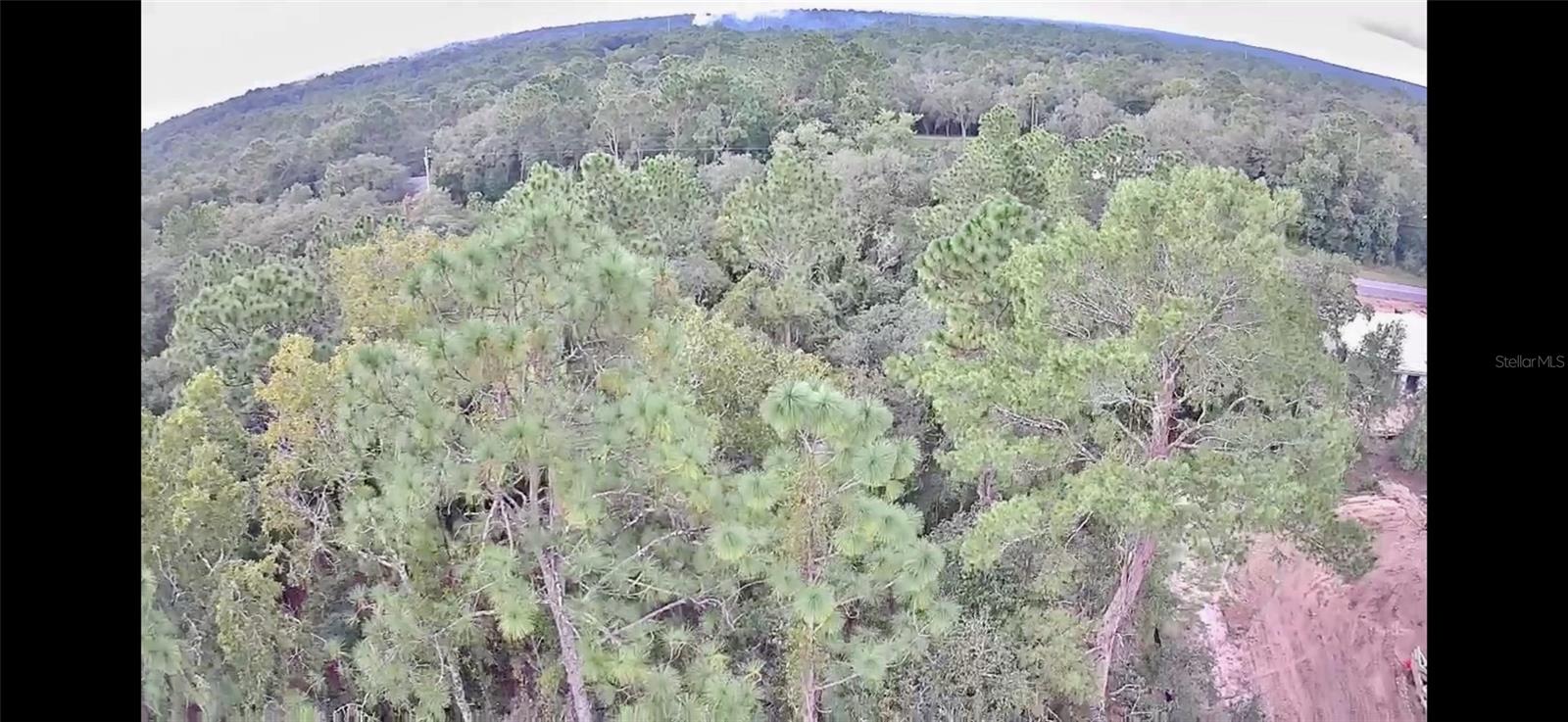 3100 E ODIER ST, INVERNESS, FL, 34453