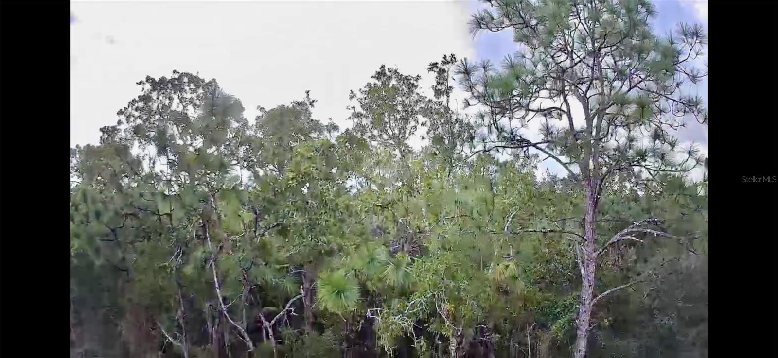 3100 E ODIER ST, INVERNESS, FL, 34453