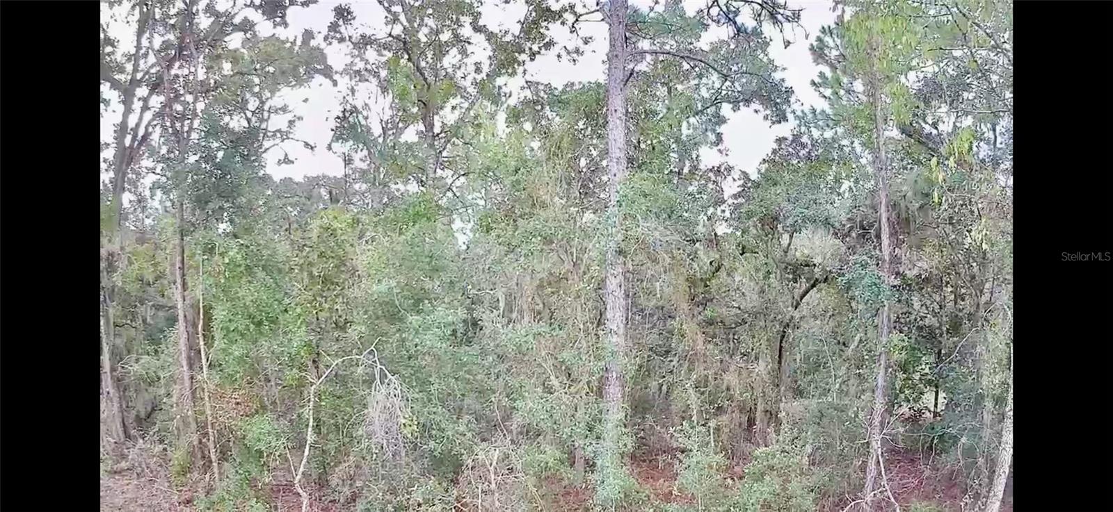 3100 E ODIER ST, INVERNESS, FL, 34453