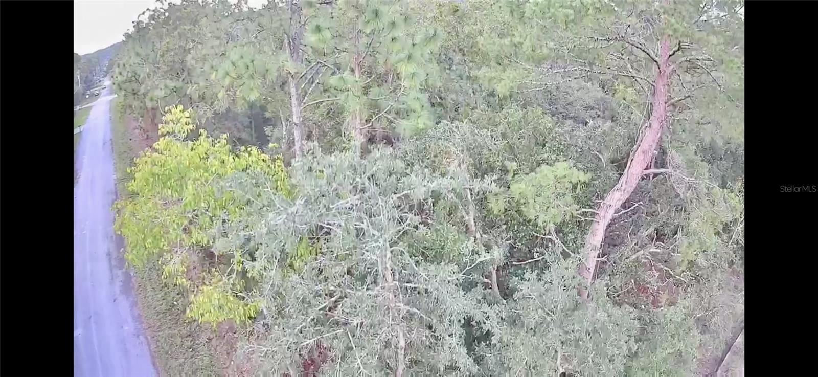 3100 E ODIER ST, INVERNESS, FL, 34453