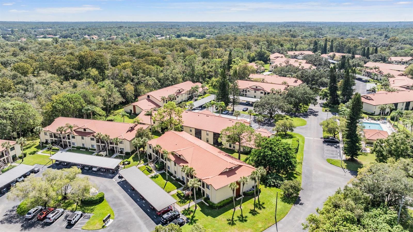 1801 E LAKE RD #4B, PALM HARBOR, FL, 34685