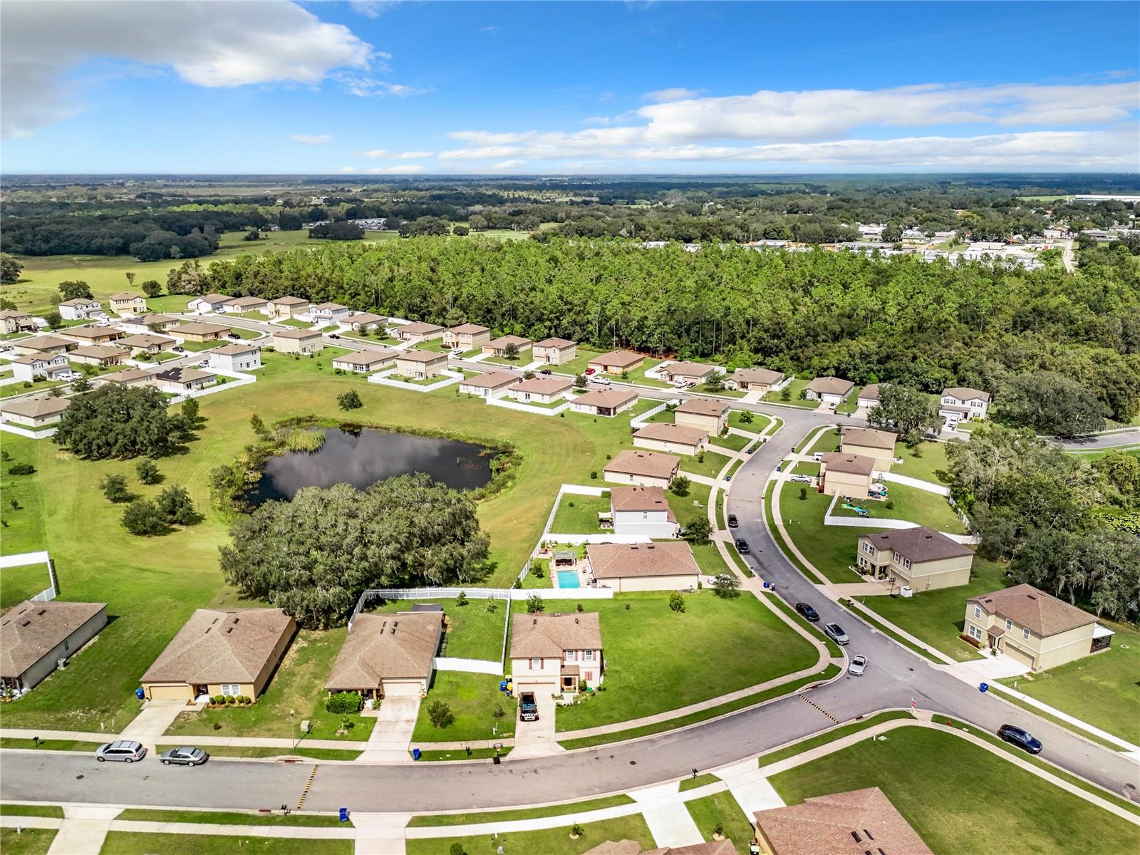15336 ROYAL TERN BLVD, MASCOTTE, FL, 34753