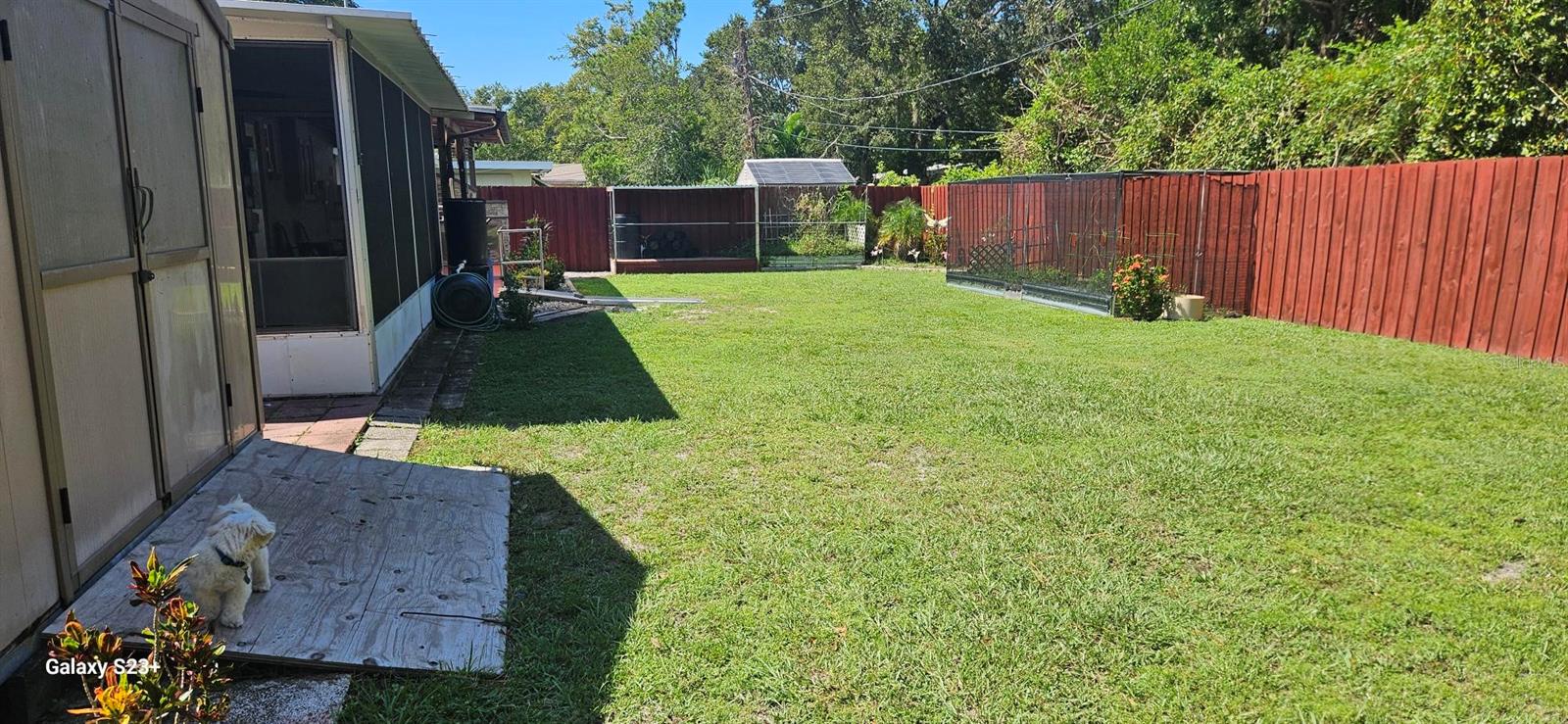 1564 CROWN ST, CLEARWATER, FL, 33755