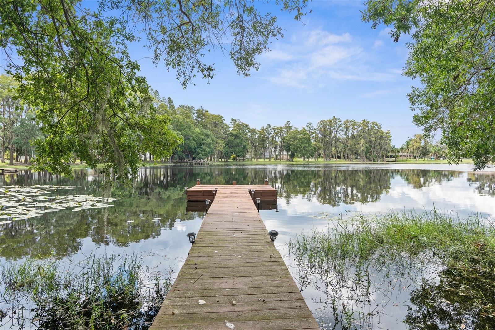 10507 HINDS PL, ODESSA, FL, 33556