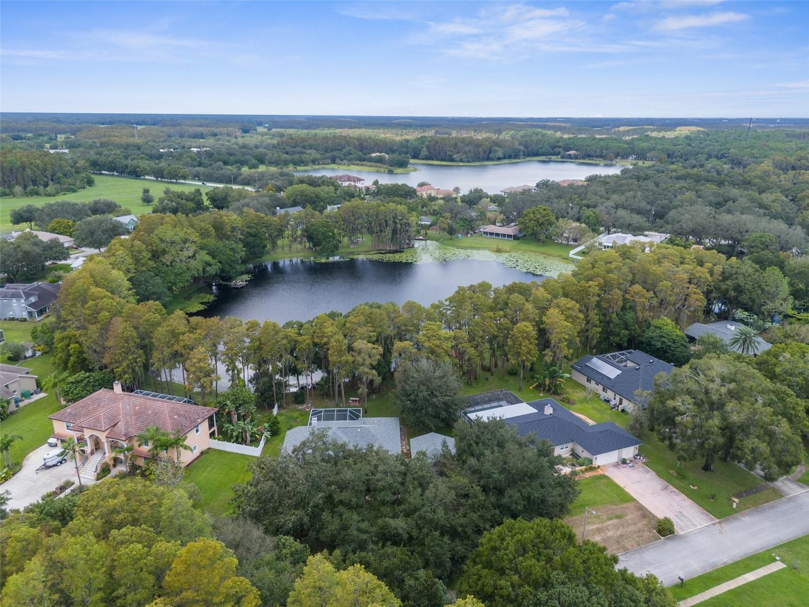 10507 HINDS PL, ODESSA, FL, 33556