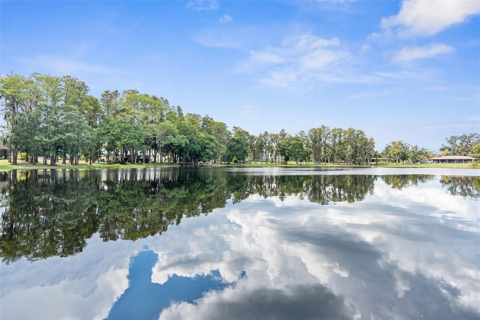 10507 HINDS PL, ODESSA, FL, 33556