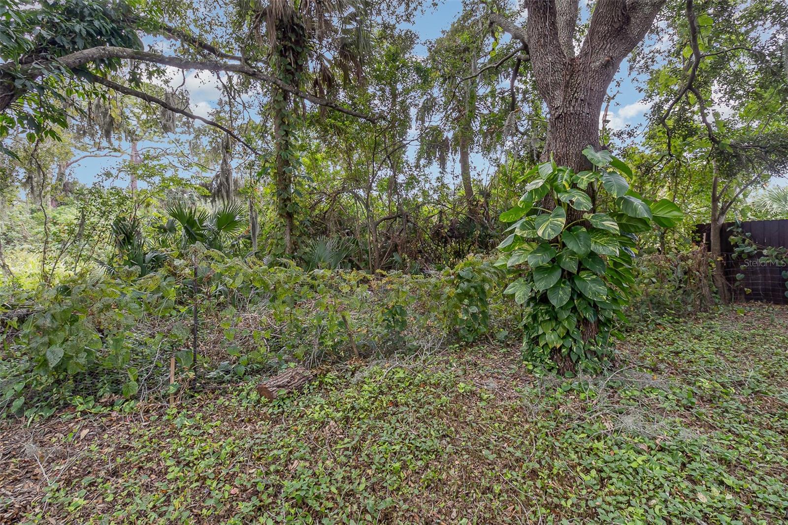 1061 REVILLA LN, ROCKLEDGE, FL, 32955