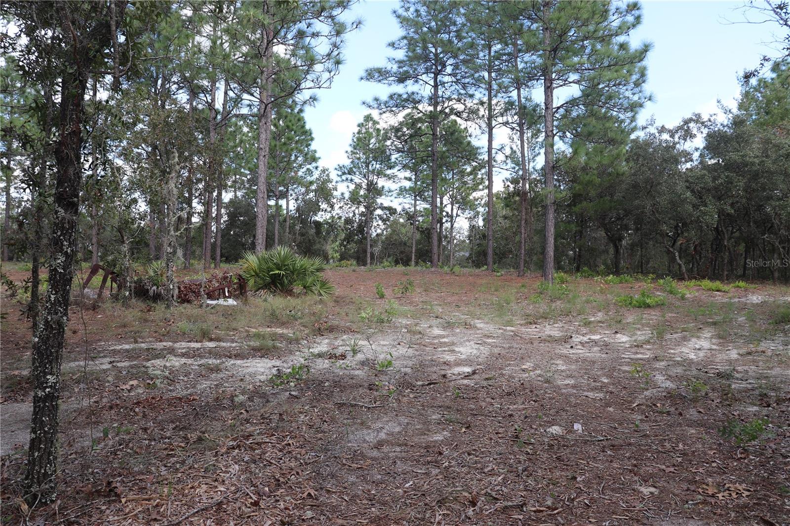 9657 N TIMBER CREEK TER, DUNNELLON, FL, 34433