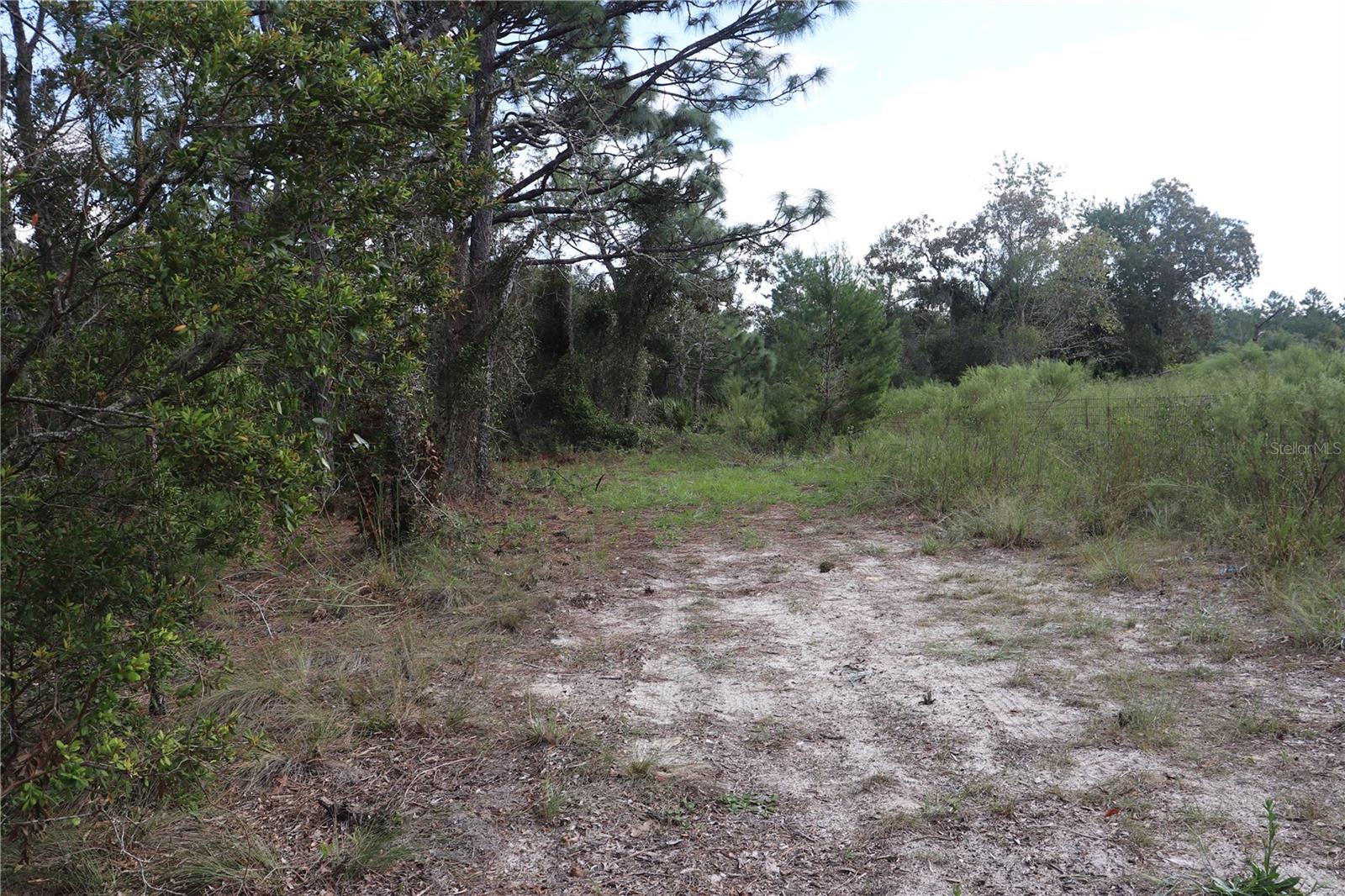 9657 N TIMBER CREEK TER, DUNNELLON, FL, 34433