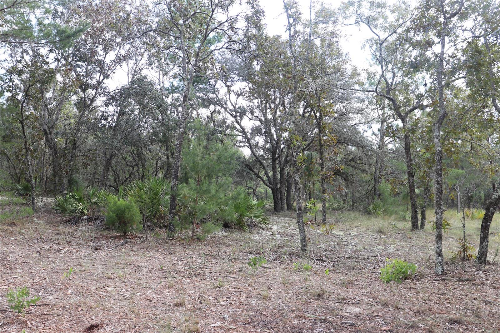 9657 N TIMBER CREEK TER, DUNNELLON, FL, 34433