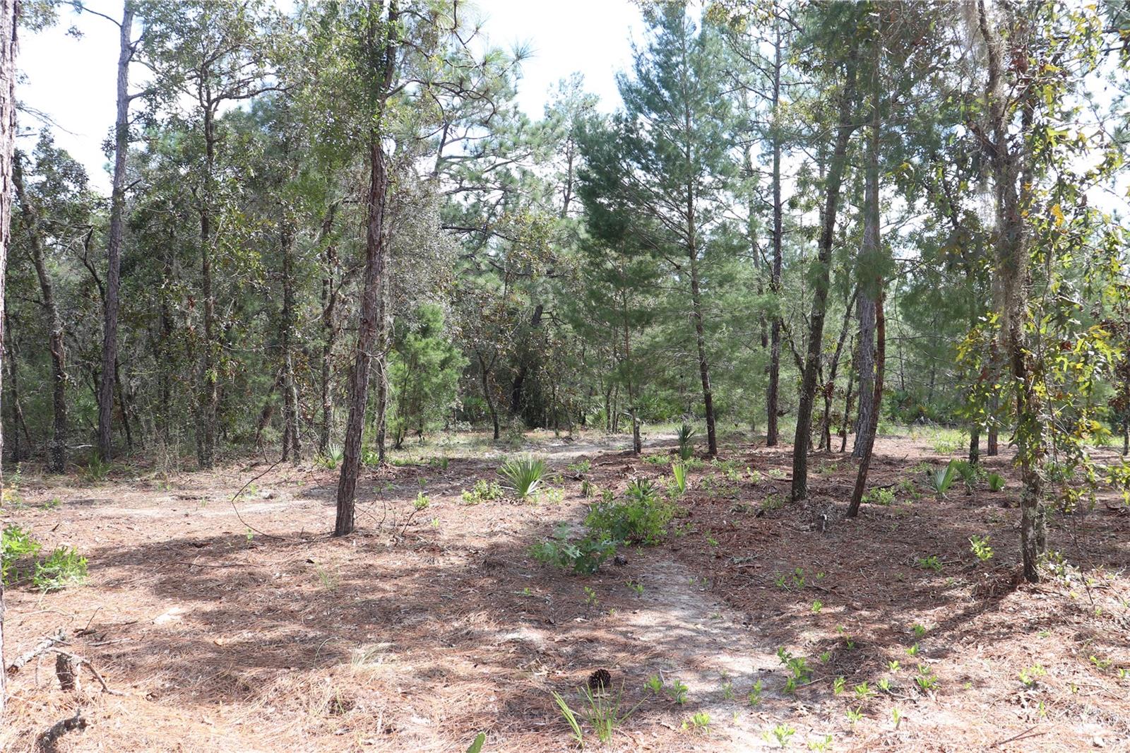 9657 N TIMBER CREEK TER, DUNNELLON, FL, 34433