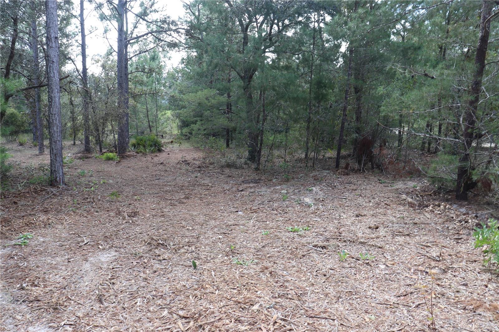 9657 N TIMBER CREEK TER, DUNNELLON, FL, 34433