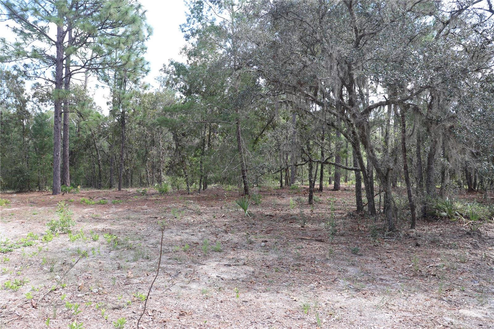 9657 N TIMBER CREEK TER, DUNNELLON, FL, 34433